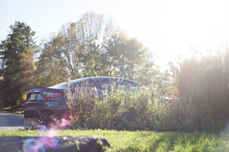 Illustration for article titled Here Are Some More Photos Of The 2018 Maserati GranTurismo MC In Autumnal Glory